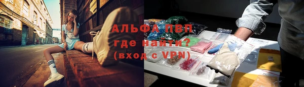 гидропоника Алзамай