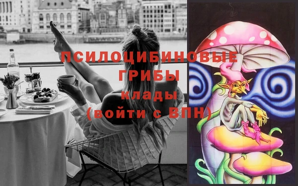 Альфа ПВП Алексеевка