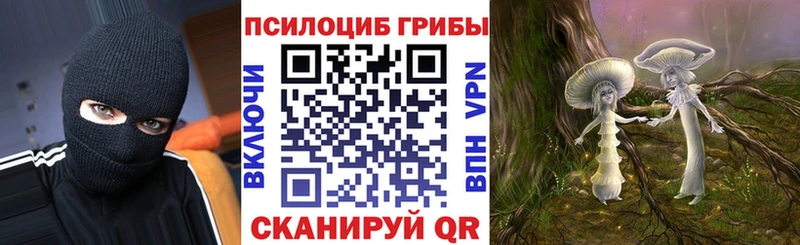 сколько стоит  Туринск  Галлюциногенные грибы мицелий 